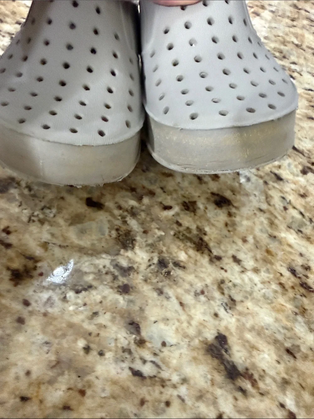 Native Shoes toddler native